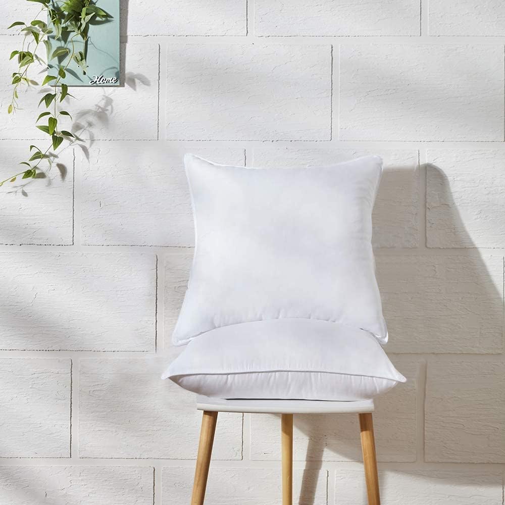 Throw Pillow Inserts, 20 x 20 Inch, Set of 2, Soft Fluffy Fill